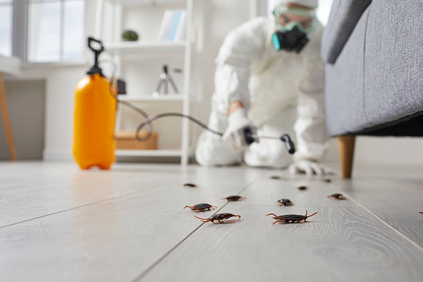 Post-Treatment Bed Bug Interceptor Monitoring in Fruitvale