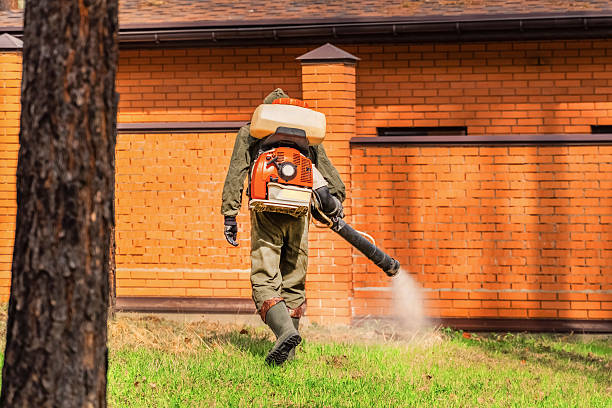 Bed Bug Clearance Verification and Documentation in Fruitvale